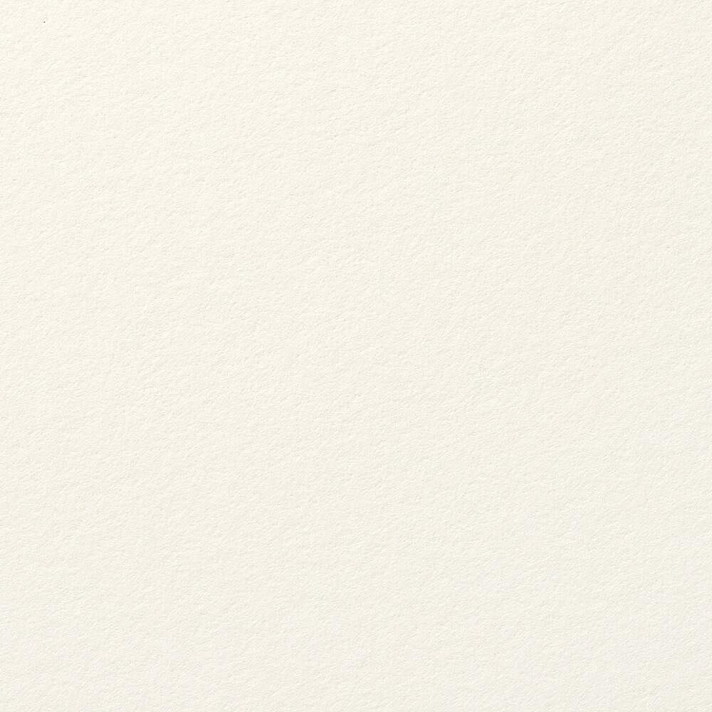 サマセット版画用紙 サテン ソフトホワイト 560×760mm 5153002302CBM 10枚