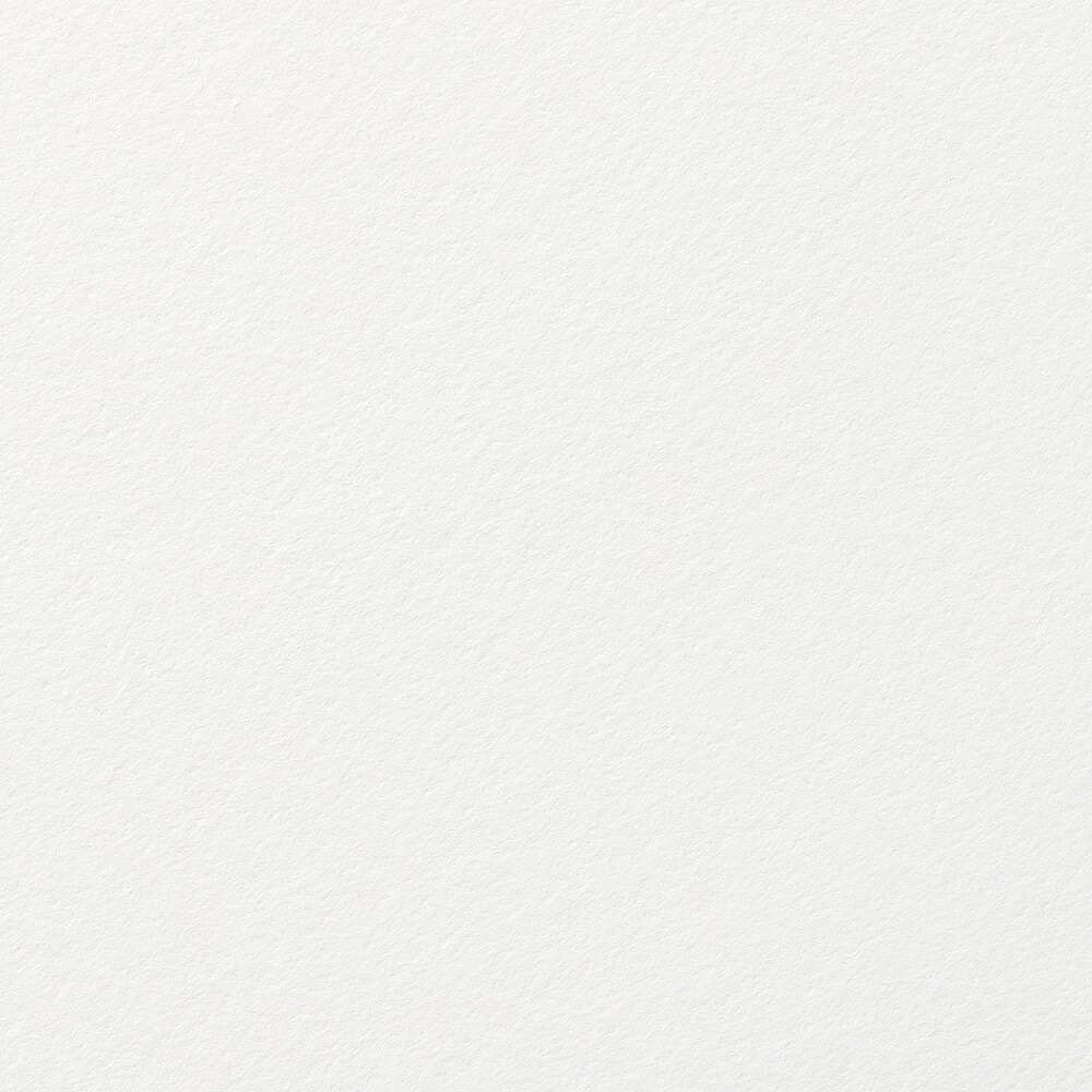 サマセット版カートリッジペーパー 繻子 白いこと 560×760粍 5153000102CBM 10枚