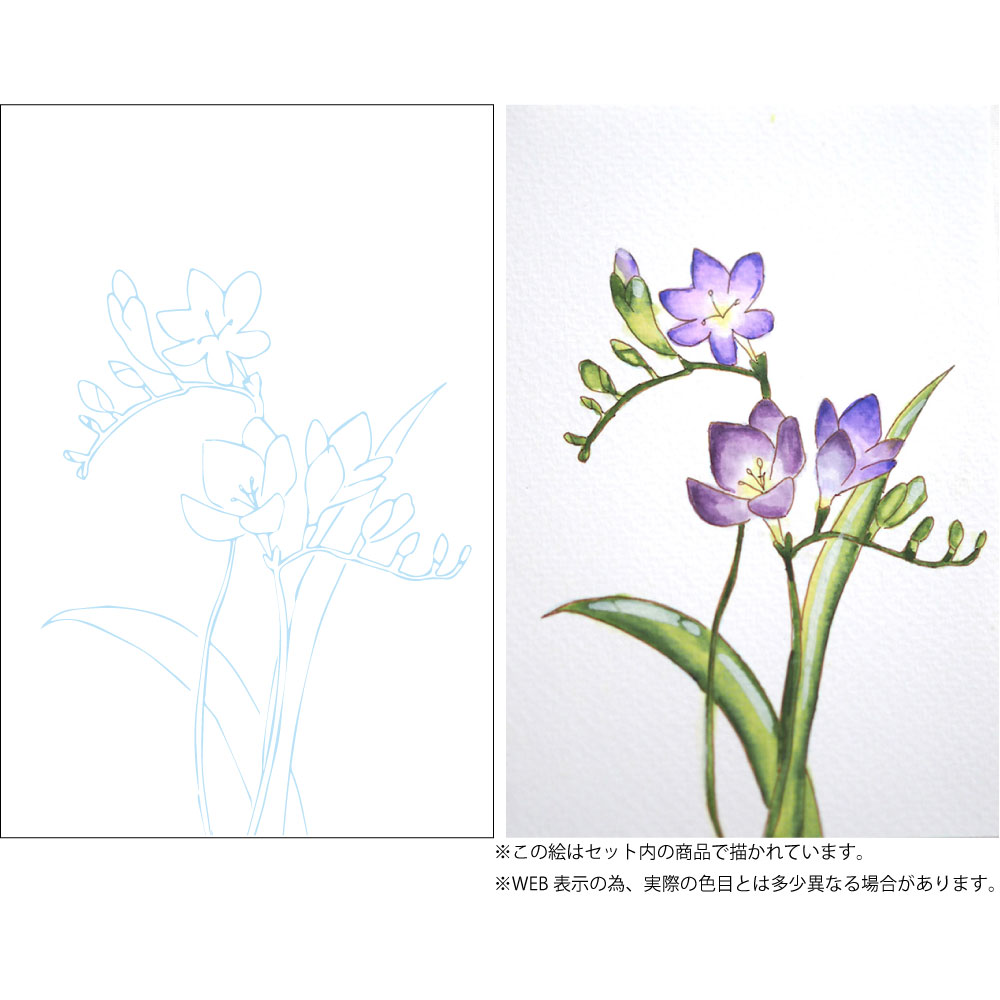 呉竹 水彩イラスト 花の描き方レッスン