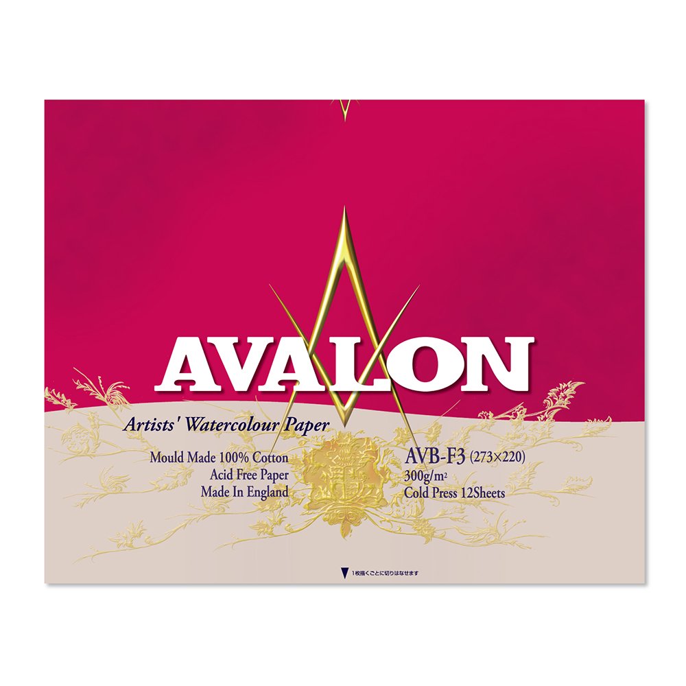 ホルベイン アヴァロン水彩画紙 立ちはだかる 300g 中目 AVB-F3 271002 3冊入