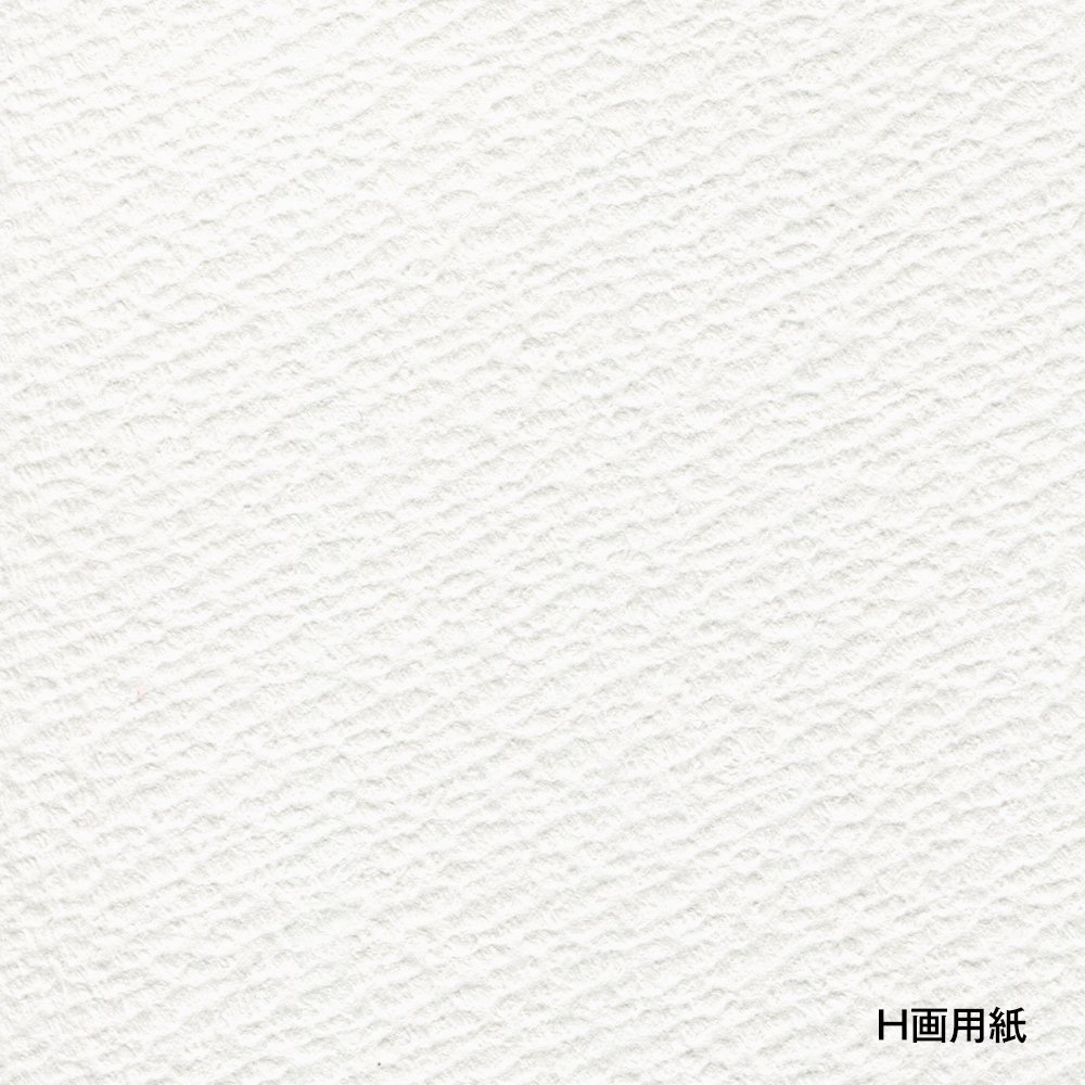 ホルベイン H画用紙 半切 542×765mm 150g 100枚入 252022