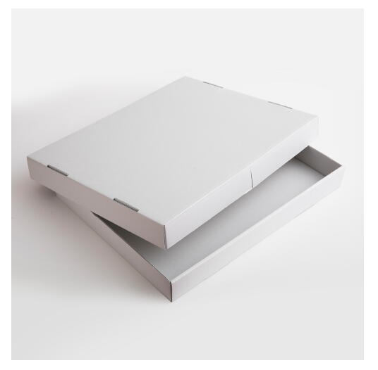 ミューズ 作品保存箱 F10サイズ用 HZN-F10