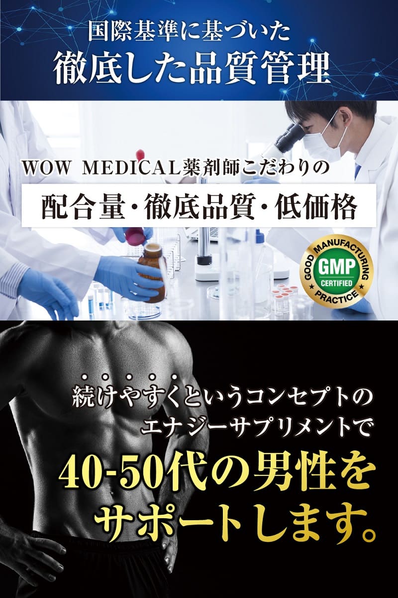 シトルリンアルギニンマカ亜鉛オルニチンビタミンB2高麗人参すっぽん黒にんにくビタミンCエナジーサプリメント厳選10成分スーパーサイヤサプリ90粒×4袋