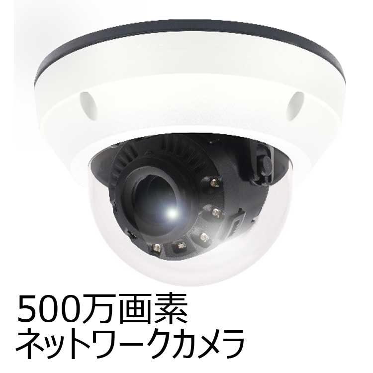 日本防犯システム 5メガピクセル屋外IRドーム型 防犯カメラ JS-CW5041 5メガピクセル 屋外IRドーム型ネットワークカメラ - ジャパン