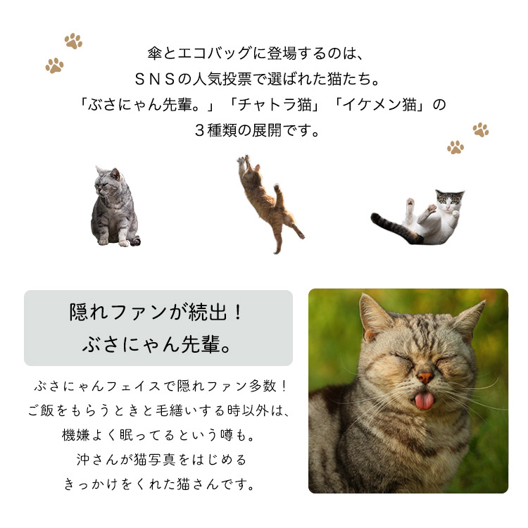 必死すぎるネコ 猫 実写プリント インスタ映え 沖昌之さん Wpc 折りたたみ 公益財団法人どうぶつ基金 寄付 持ち運び ピンク 可愛い レインバッグ コンパクト ベージュ マチあり ギフト対象 おしゃれ 黒 お買い物バッグ エコバッグ かわいい 必死すぎるネコ 猫 実写プリント インスタ映え 沖昌之さん Wpc 折りたたみ 公益財団法人どうぶつ基金 寄付 持ち運び ピンク 可愛い レインバッグ コンパクト ベージュ マチあり ギフト対象 おしゃれ 黒 お買い物バッグ エコバッグ かわいい