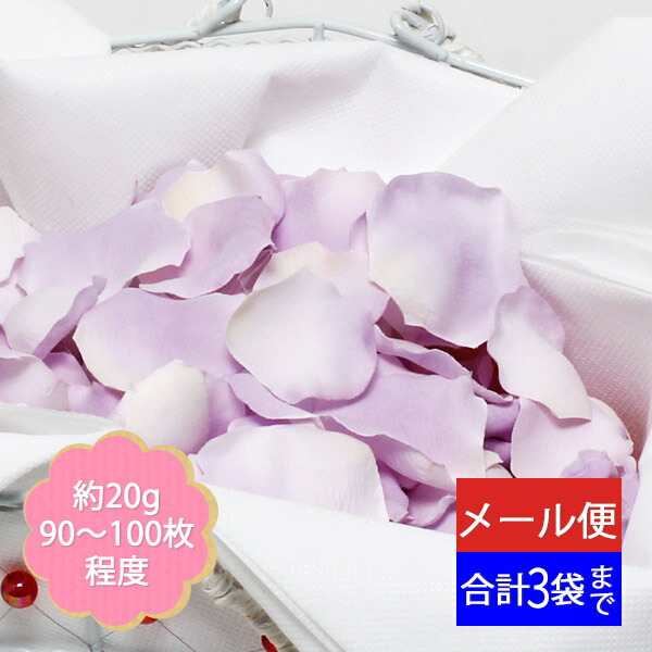楽天市場】【期間限定SALE5％OFF☆8/1〜8/7まで！】☆8/1