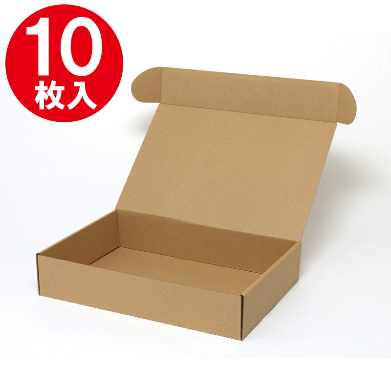 メイルセンジュ　10本入✕2箱 HEIKO 箱 ナチュラルボックス Z-14 10枚/袋 006201410 包装用品