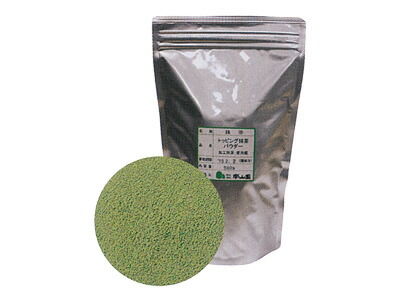 楽天市場】南山園 グリーン抹茶パウダー 1kg 540360 取り寄せ品 池伝