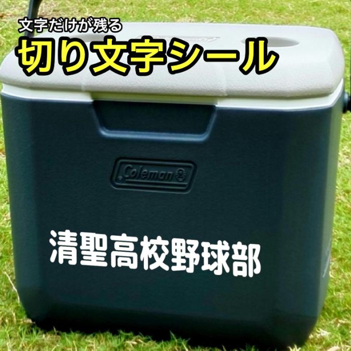 激安格安割引情報満載 TRUSCO パーツケース 186X103X34 TPC-102L