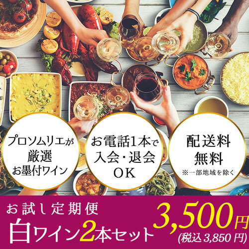 【送料無料】ソムリエお試し定期便 白ワイン2本セット（1ヶ月毎お届け） 送料無料 白ワインセット