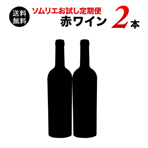 ソムリエお試し定期便　赤ワイン2本セット（1ヶ月毎お届け）　送料無料　赤ワインセット