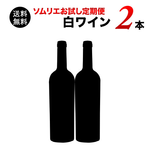 ソムリエお試し定期便　白ワイン2本セット（1ヶ月毎お届け）　送料無料　白ワインセット