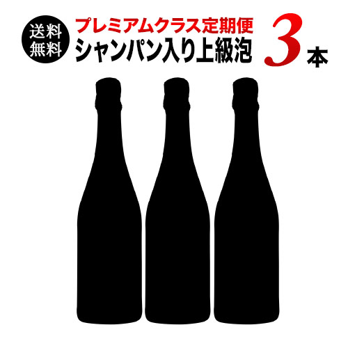 【送料無料】ソムリエプレミアムクラス定期便 シャンパン入り上級スパークリング3本セット（1ヶ月毎お届け） 送料無料 ワインセット