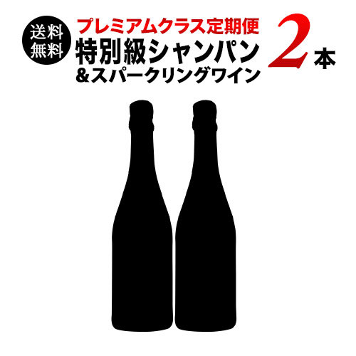 【送料無料】ソムリエプレミアムクラス定期便 特別級シャンパン&スパークリングワイン2本セット（1ヶ月毎お届け） 送料無料：ワインショップソムリエ