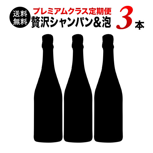 ソムリエプレミアムクラス定期便 贅沢シャンパン＆スパークリング3本セット（1ヶ月毎お届け）　送料無料 シャンパンセット