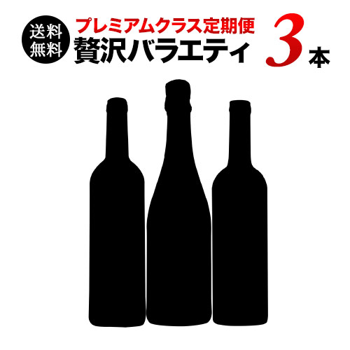 【送料無料】ソムリエプレミアムクラス定期便　贅沢バラエティ3本セット（1ヶ月毎お届け）　送料無料　ワインセット