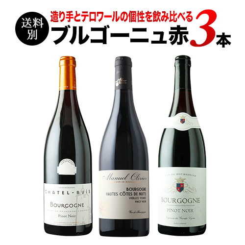 楽天市場】ワインセット 送料無料 特選ブルゴーニュ赤白ワイン2本