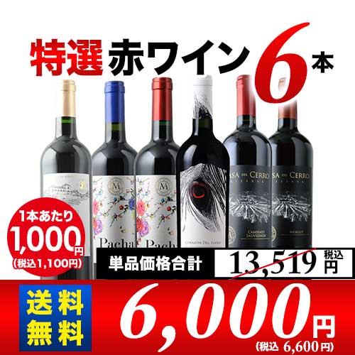 金賞ボルドー＆カリスマ醸造家 特選赤ワイン6本セット 送料無料 