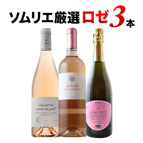 楽天市場】ワインセット スパークリングワイン シャンパン3本セット 第