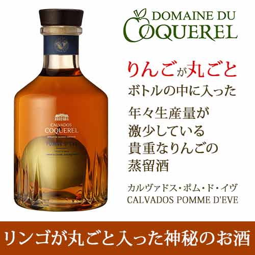 楽天市場 カルヴァドス ポム ド イブ ドメーヌ ド コックレル フランス ノルマンディー ブランデー 700ml 12本単位のご購入で送料無料 ギフト プレゼント対応可 ギフト ワイン ソムリエ 家飲み ホワイトデー ワインショップソムリエ