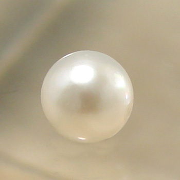 【楽天市場】あこや本真珠 パールルース（シングル） 4.5-5.0mm CCB ラウンド （片穴があいています）[n3][4-356]（真珠