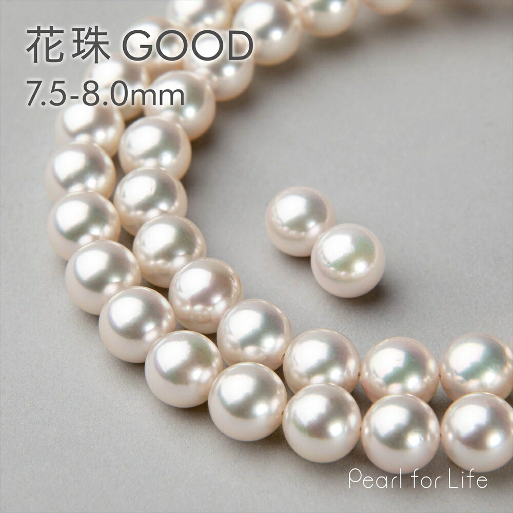 【楽天市場】【フェア割引&特典】《GOOD Quality相当》花珠真珠 ネックレスセット 8.0-8.5mm 真珠総合研究所 花珠鑑別書付き【WEB限定】  : Pearl for Life 楽天市場店