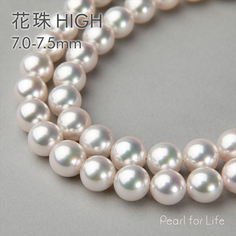 楽天市場】《GOOD Quality》花珠真珠 ネックレス 8.0-8.5mm -GOOD Quality- パールネックレス 鑑別書付き 冠婚葬祭  : Pearl for Life 楽天市場店