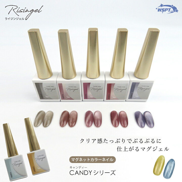 新品 Risingel♡⃛トップジェル15g WSPT 4つセット ブルームジェル Risingel ライジンジェル 4点セット