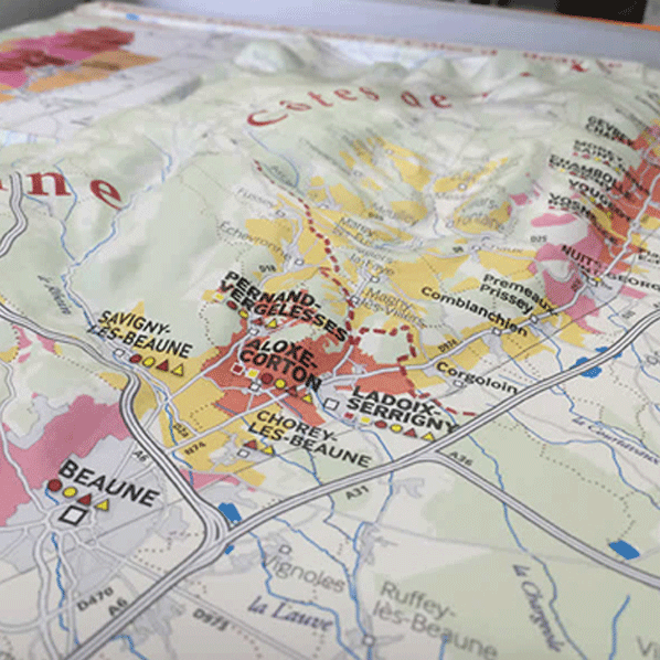 楽天市場 送料お得 3dワインマップ アルザス地方 縦455 横345 H40mm 立体 凹凸 紙製額 地図 インテリア Rcp ワイングラス カトラリー バー カクテル ワインスタイル東京ギャラリー