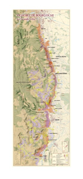 地図でみるブルゴーニュ・ワイン 地図でみるブルゴーニュ・ワイン〔改訂新版〕 | シルヴァン