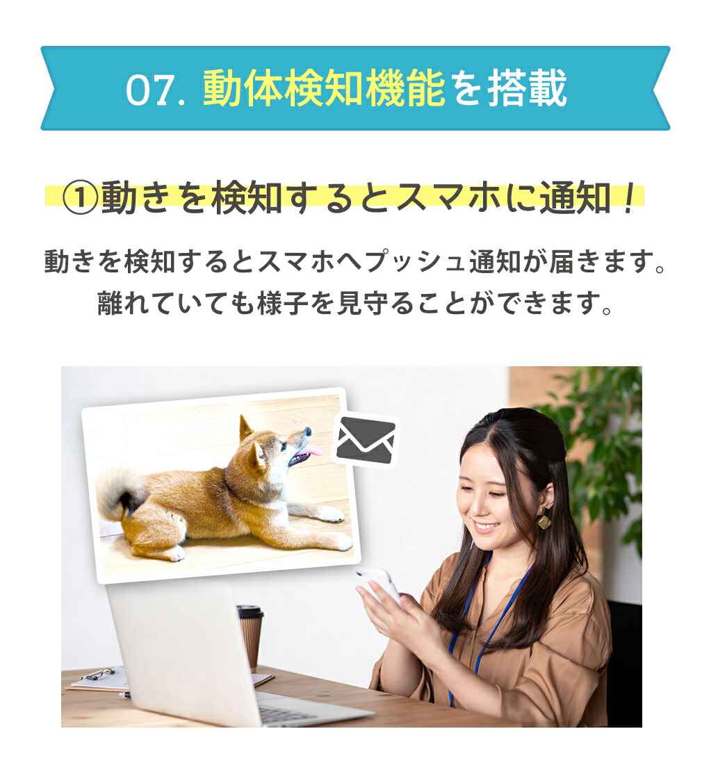ペットカメラ 180度広角カメラ付自動給餌器 自動餌やり器 犬猫ごはん タイマー自動 コンセント給電可 スマホ 留守 犬 猫 餌 えさ 自動えさやり機 自動餌やり機 自動餌やり機 送料無料 旅行 Purplehouse Co Uk
