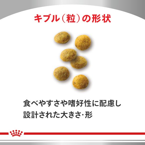 ロイヤルカナン 猫用 腎臓サポート ドライ(4kg)【ロイヤルカナン療法食】