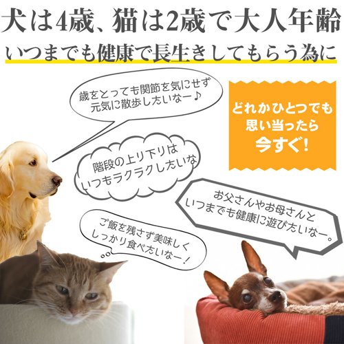 クリルオイル 30粒入 本間アニマルメディカルサプライ