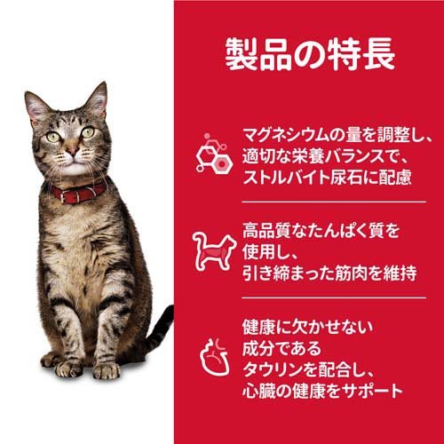 1 6歳 1 6歳 成猫用 サイエンス ダイエット アダルト キャットフード 本間アニマルメディカルサプライキャットフード キャットフード サイエンス ダイエット サイエンスダイエット チキン 2 8kg 4コセット 成猫用 アダルト サイエンスダイエット アダルト 1 6 1 6歳 1 6歳 成猫用 サイエンス ダイエット アダルト キャットフード 本間アニマルメディカルサプライキャットフード キャットフード サイエンス ダイエット サイエンスダイエット チキン 2 8kg 4コセット 成猫用 アダルト サイエンスダイエット アダルト 1 6