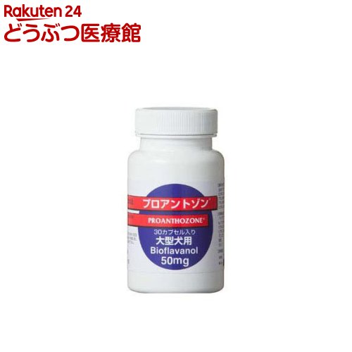 楽天市場 プロアントゾン 50mg 大型犬用 30カプセル 共立製薬 本間アニマルメディカルサプライ