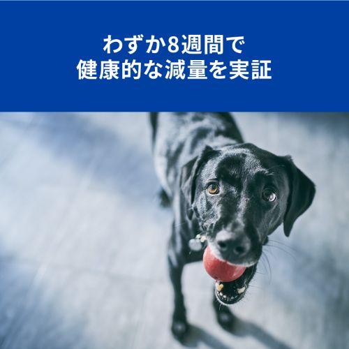 楽天市場 ヒルズ プリスクリプション ダイエット 犬用 R D 缶詰 350g ヒルズ プリスクリプション ダイエット 本間アニマルメディカルサプライ