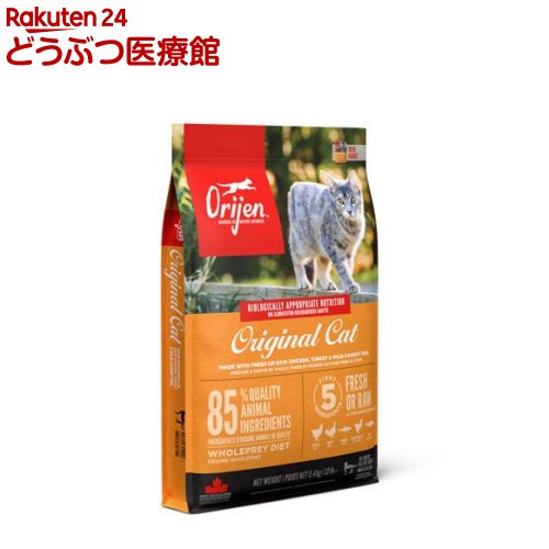 開びゃく 一風変わった 猫【置き目インポート品】(5.4kg)【開びゃく】