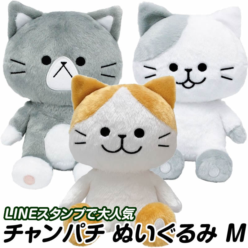 楽天市場】チャンパチ マメキチ くまさん ぬいぐるみ Mサイズ ふわふわ