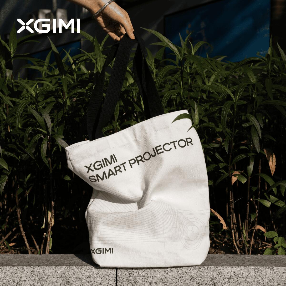 楽天市場】XGIMI Halo 収納ケース 旅行ケース プロジェクター