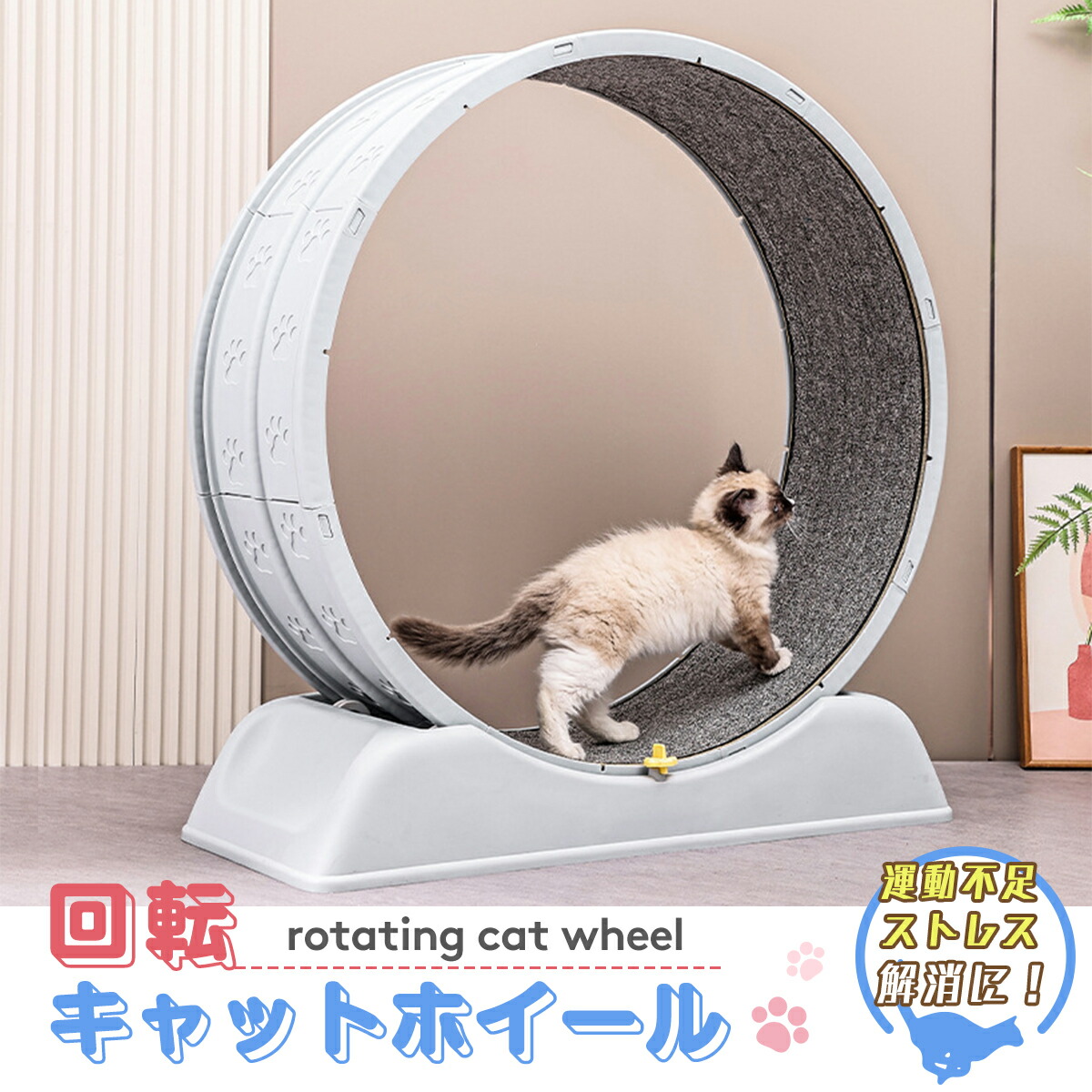 送料無料】キャットホイール 室内飼い 組立式 86cm*33.5cm*92cm