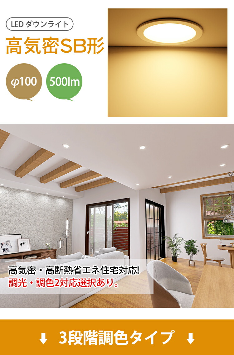 天井埋込型LEDダウンライト6個 IRIS OHYAMA ダウンライト LED 100φ 穴100mm 埋込型照明器具