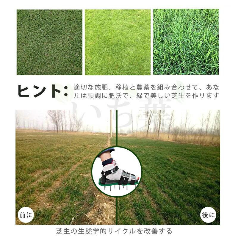 芝生スパイク 芝生穴あけ ガーデンシューズ エアレーションス バンド8本付 芝生