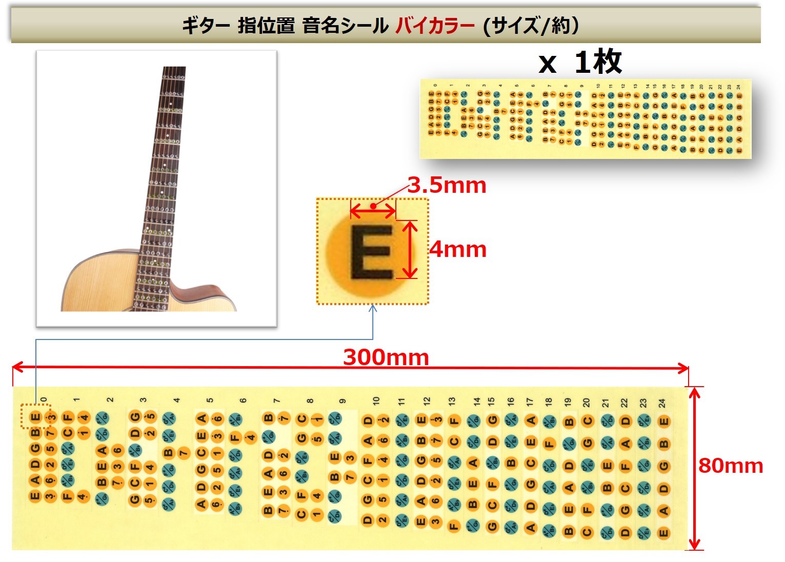 楽天市場 ギター 指板 練習 指 フレット シール ステッカー スケール ギターコード ギター指板シール Xpデザイン 楽天市場店