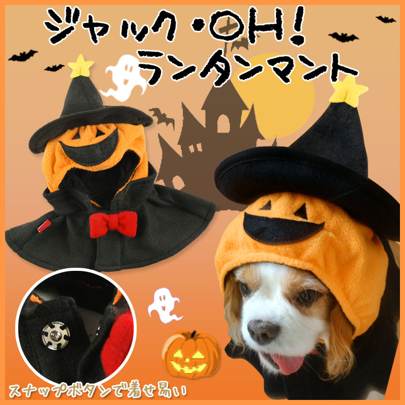 貨物輸送無料 ハロウィン コスプレ 飼い犬役割 キャット用 ジャッキオー カンテラ かぼちゃ 衣類 犬着衣 小型犬 中型犬 大型犬 西洋南瓜 マント 寄合い 坊ち 若女 コルネット 犬エクイップメント ペット用品 Hotjobsafrica Org