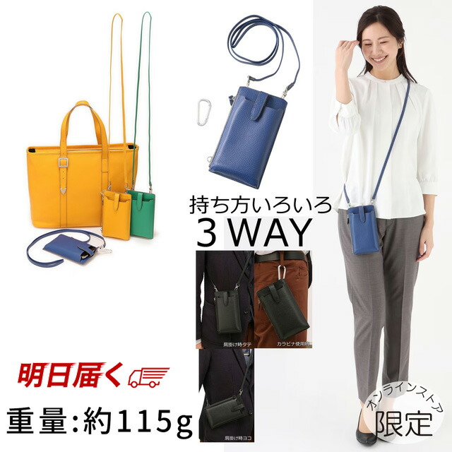 BURBERRY ストライプ バッグ　スマホケース カラナビ欠品 BURBERRY ストライプ バッグ スマホケース カラナビ欠品