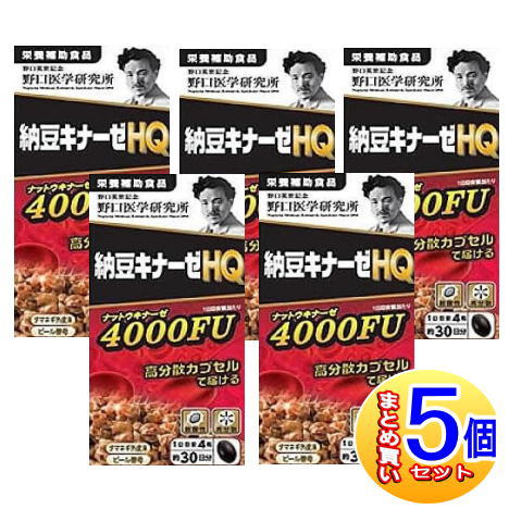 【5個セット】野口医学研究所 納豆キナーゼHQ 120錠【小型宅配便/5set】