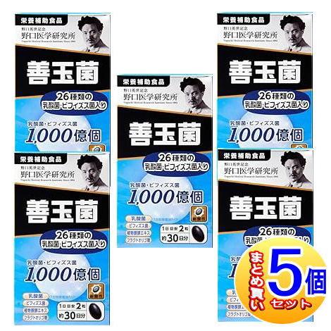 【5個仕掛ける】野口医術科学研究所 善玉菌 60粒【小型宅配便/5set】