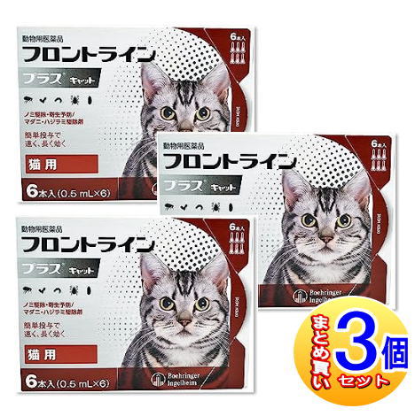 【3個書き割り】【毛の荒物用飲み薬】フロントラインプラスキャット 猫用 6本入  【小型宅配便】