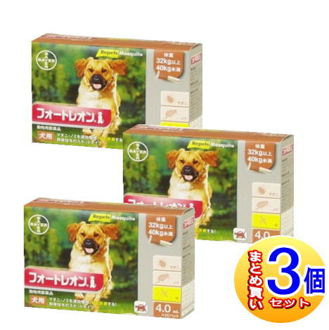 【3個セット】【動物用医薬品】フォートレオン 32kg以上40kg未満 4.0mlx3【小型宅配便】