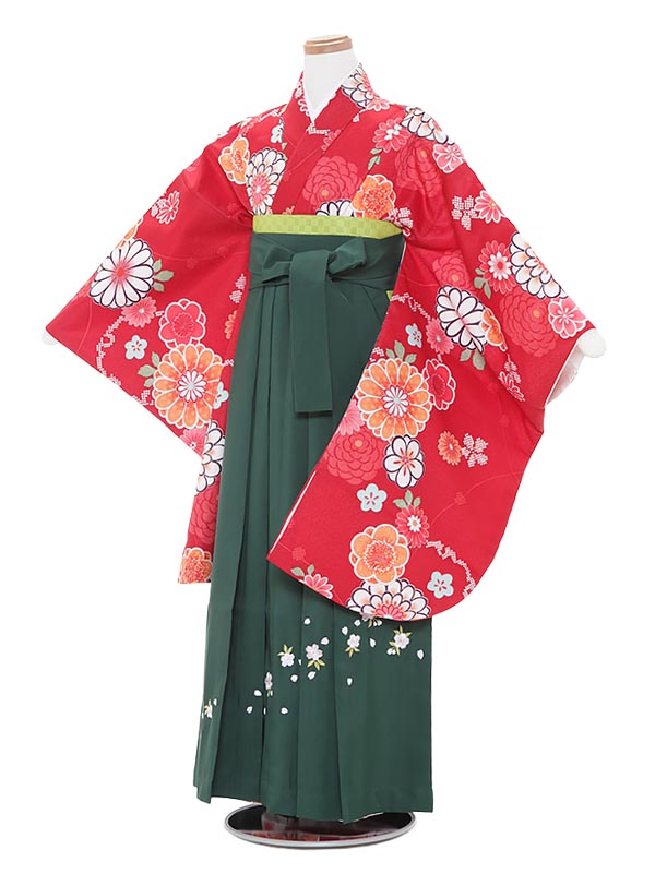 着物セット 70 Off レンタル あす楽 12歳前後 女児袴レンタル 貸衣装 子供着物 0ara025 6年生 卒業袴 小学生 卒業式 12歳 143 148cm 赤地梅菊 グリーン桜袴セット A025 Shoxruxtj Com